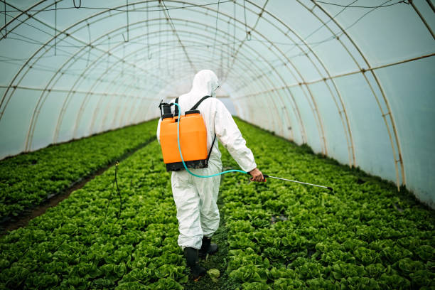 Best Pest Control Near Me  in Rodeo, CA