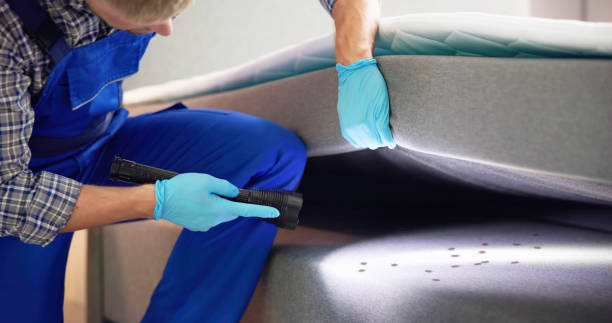 Best Ant Control Services  in Rodeo, CA