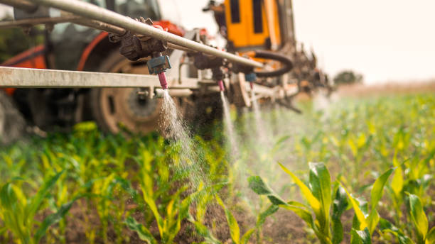 Best Wildlife Control Services  in Rodeo, CA